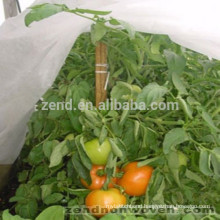 PP nonwoven aricultural greenhouse for vegetable